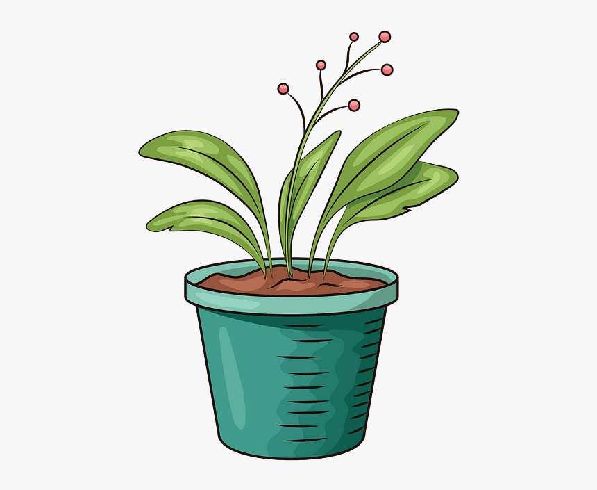 Flowerpot, HD Png Download