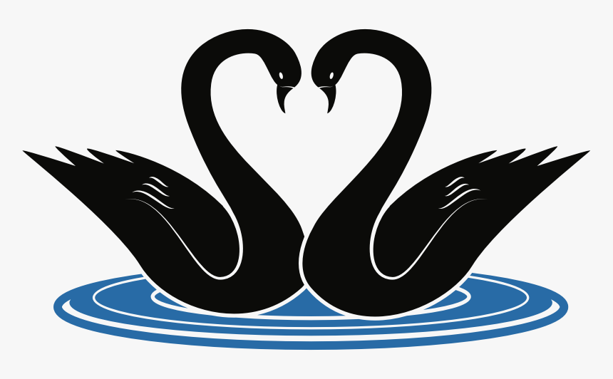 Swans - Swans Clipart, HD Png Download