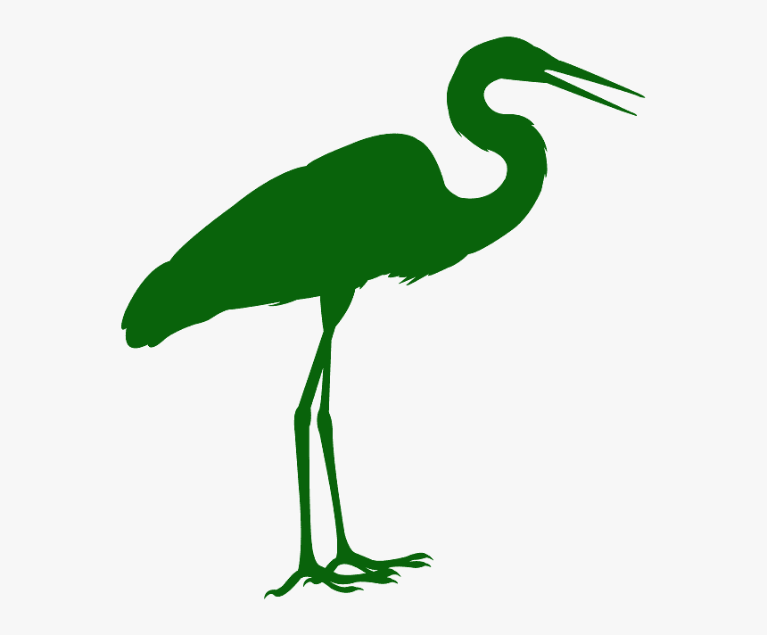 Great Blue Heron, HD Png Download