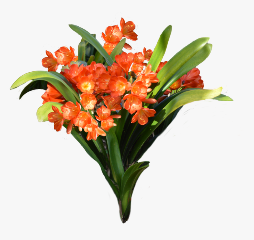 Thumb Image - Bucket Of Flowers Png, Transparent Png