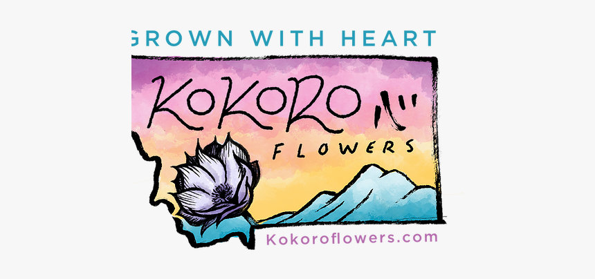 Garden Roses, HD Png Download