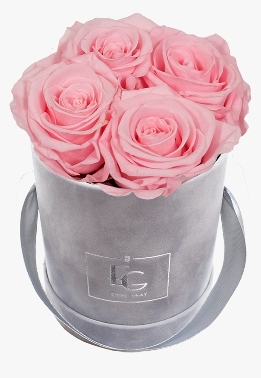 Classic Infinity Rosebox - Persian Buttercup, HD Png Download
