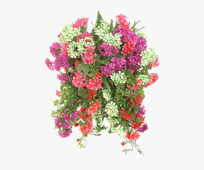 Hanging Flower Baskets, HD Png Download