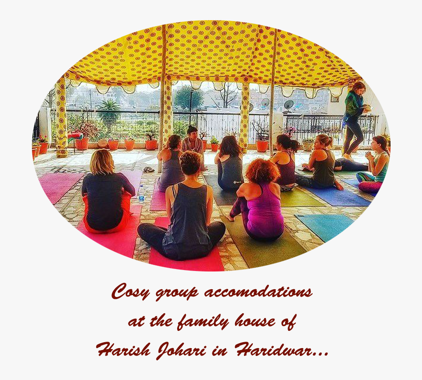 Toddler, HD Png Download