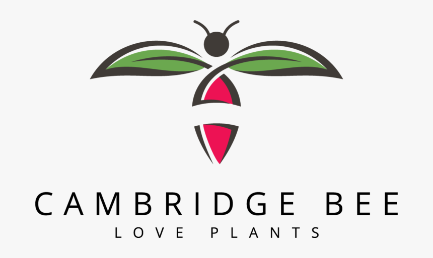 Cambridge Bee, HD Png Download