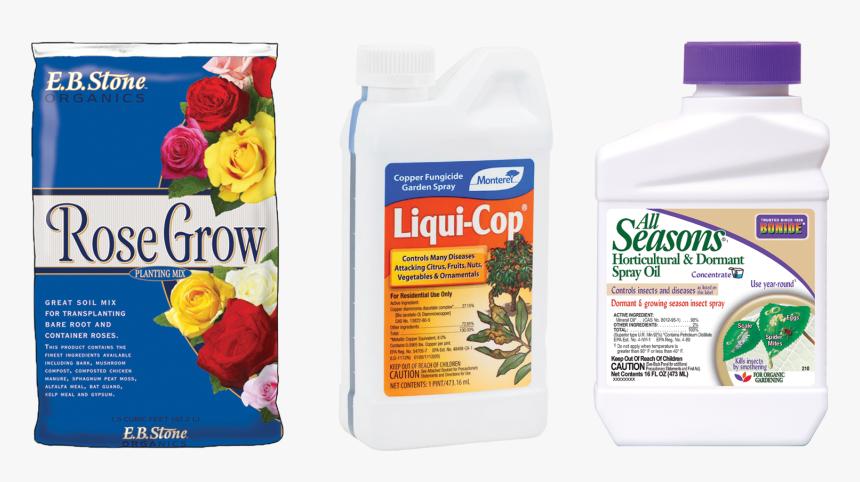 Products - Garden Roses, HD Png Download