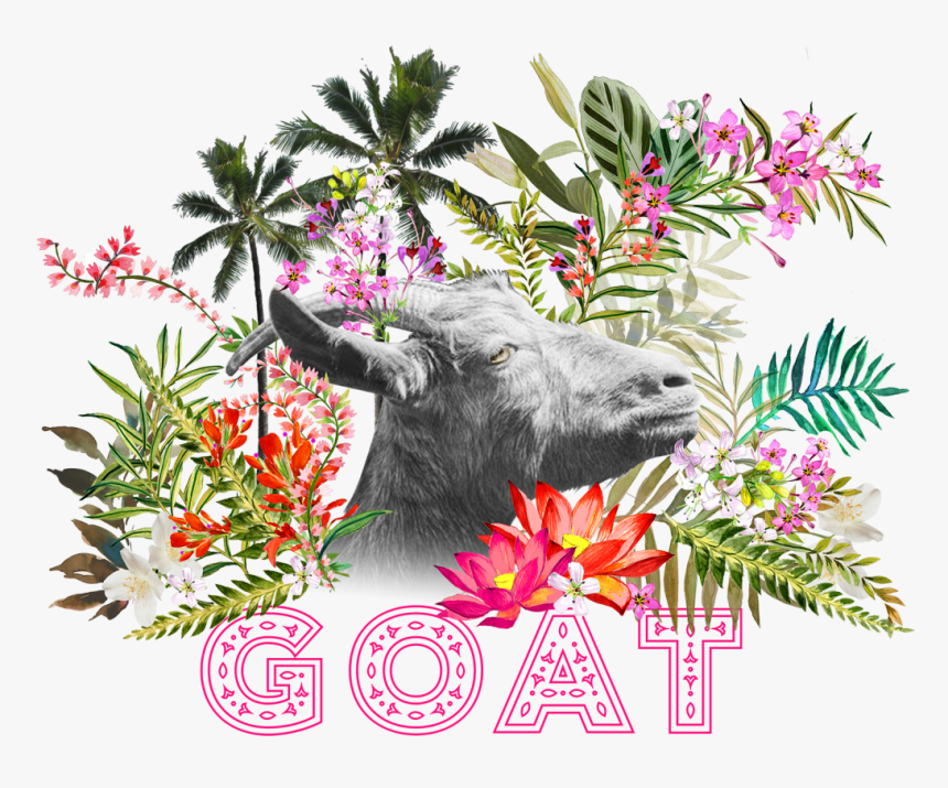 Goat Festival Logo - Zebu, HD Png Download