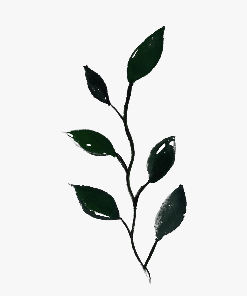 Garden Roses, HD Png Download