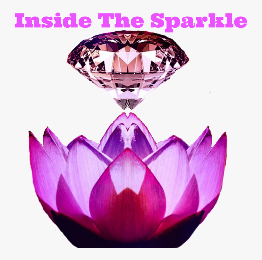 Inside The Sparkle - Water Lily, HD Png Download