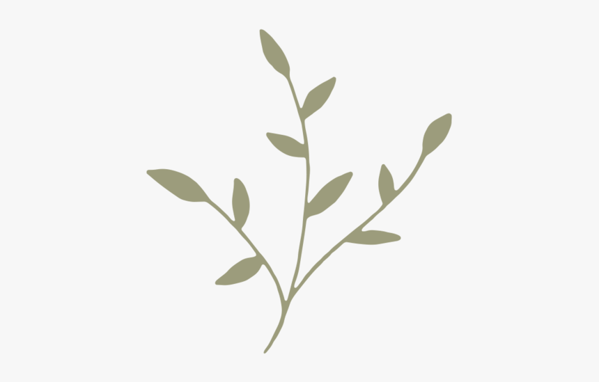 Green-icon - Twig, HD Png Download