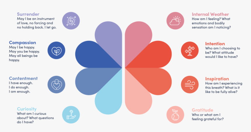 Mindkindness Graphic Web New, HD Png Download