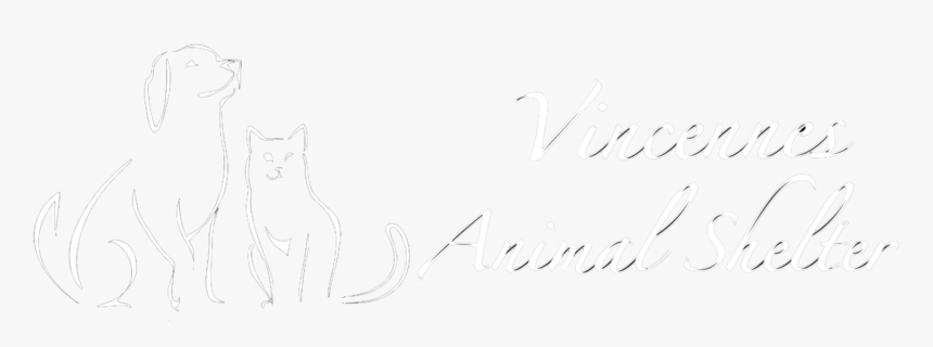 Here Are The Radial Text Pngs - Domestic Short-haired Cat, Transparent Png