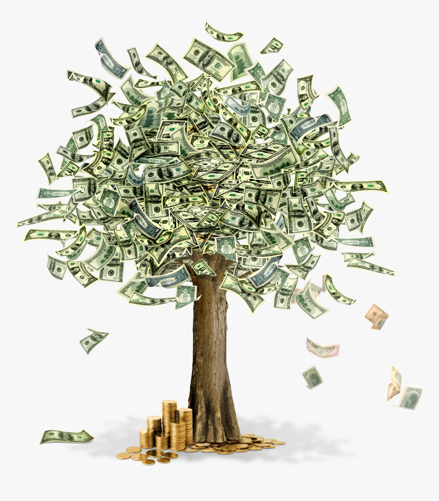 Money Tree With Dollars, HD Png Download