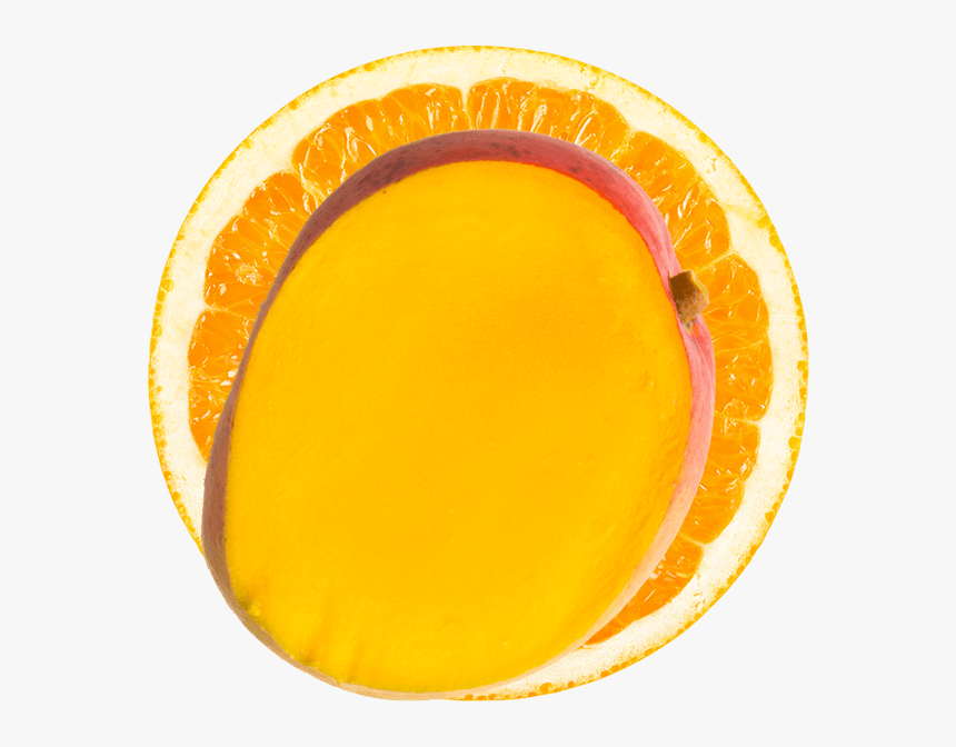 Circle, HD Png Download