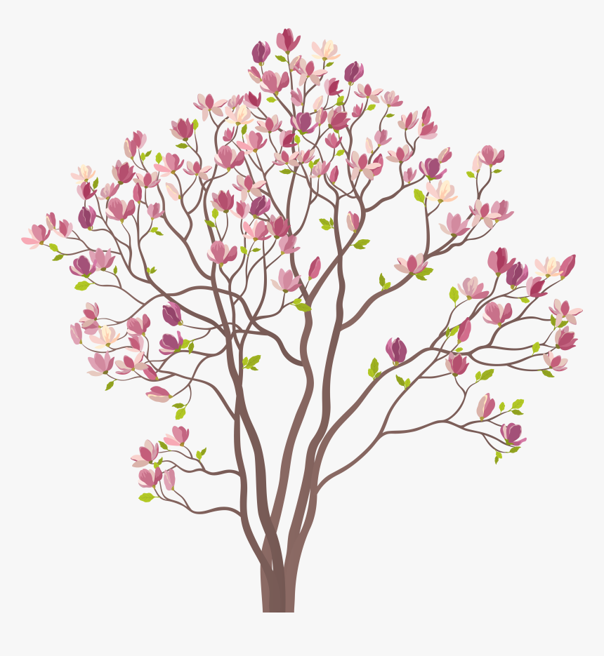 Magnolia Clipart Magnolia Flower, HD Png Download
