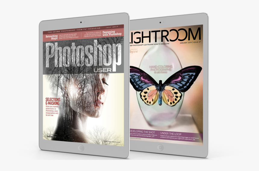 Moth, HD Png Download