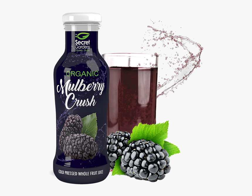 Mulberry Juices, HD Png Download