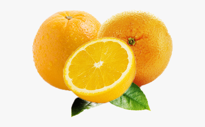 Orange Fruit Png Images Free Download Searchpng - Orange, Transparent Png