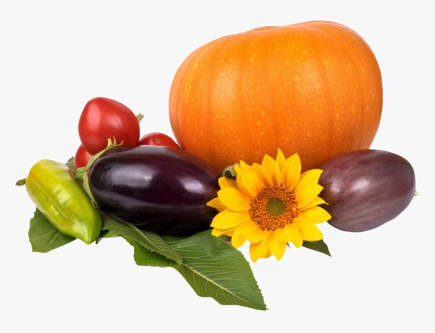 Transparent Thanksgiving Pumpkin Png, Png Download