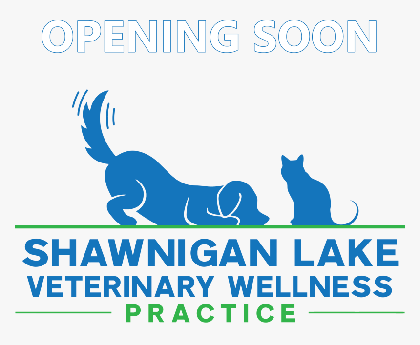 Cat Playing With Yarn, HD Png Download