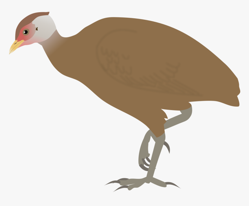 Nicobar Megapode, HD Png Download
