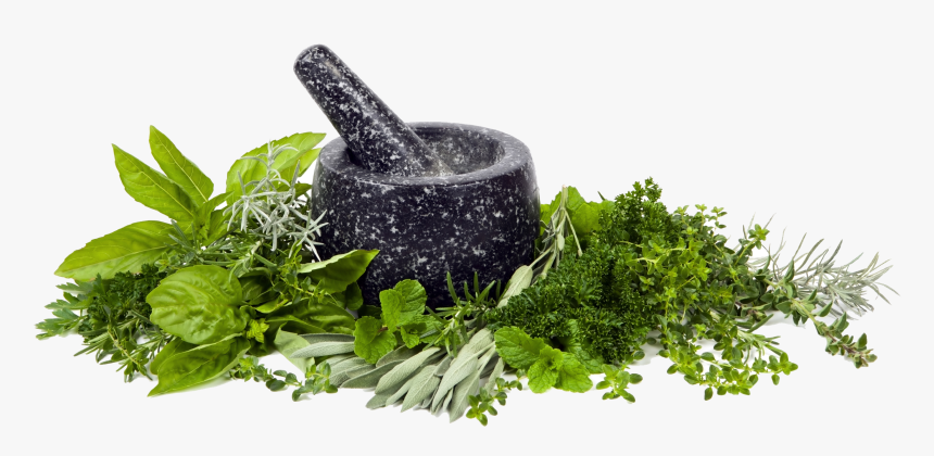 Transparent Herb Png - Png Clipart Mortar And Pestle Transparent Background, Png Download