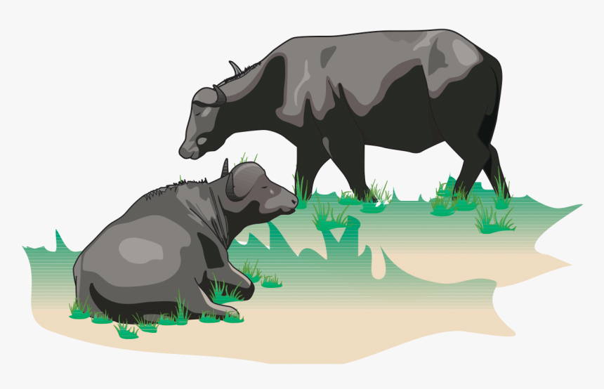 Primary Production Of Milk - Buffalo Dairy Farm Logo, HD Png Download