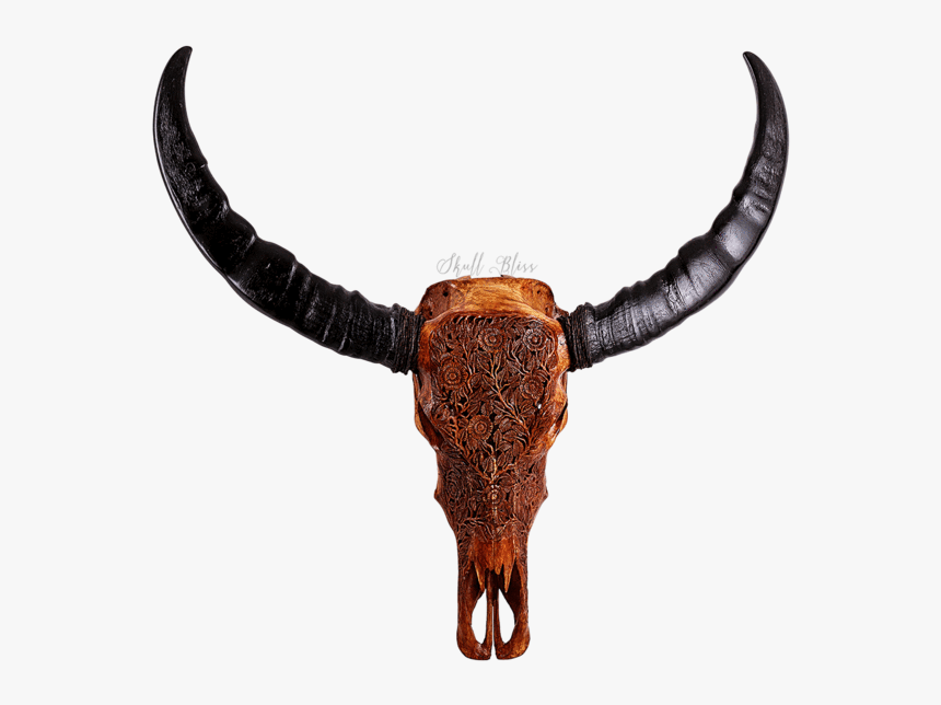 Buffalo Horns Png, Transparent Png
