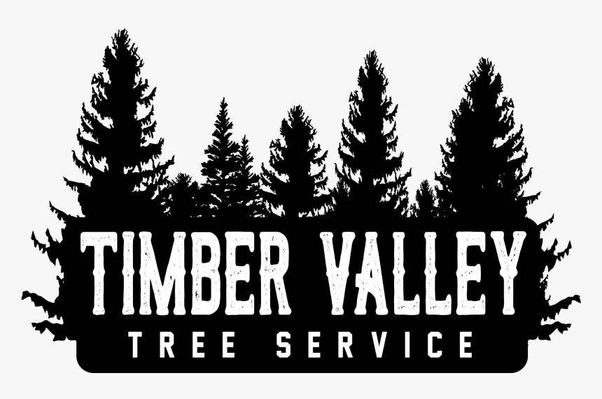 Christmas Tree, HD Png Download