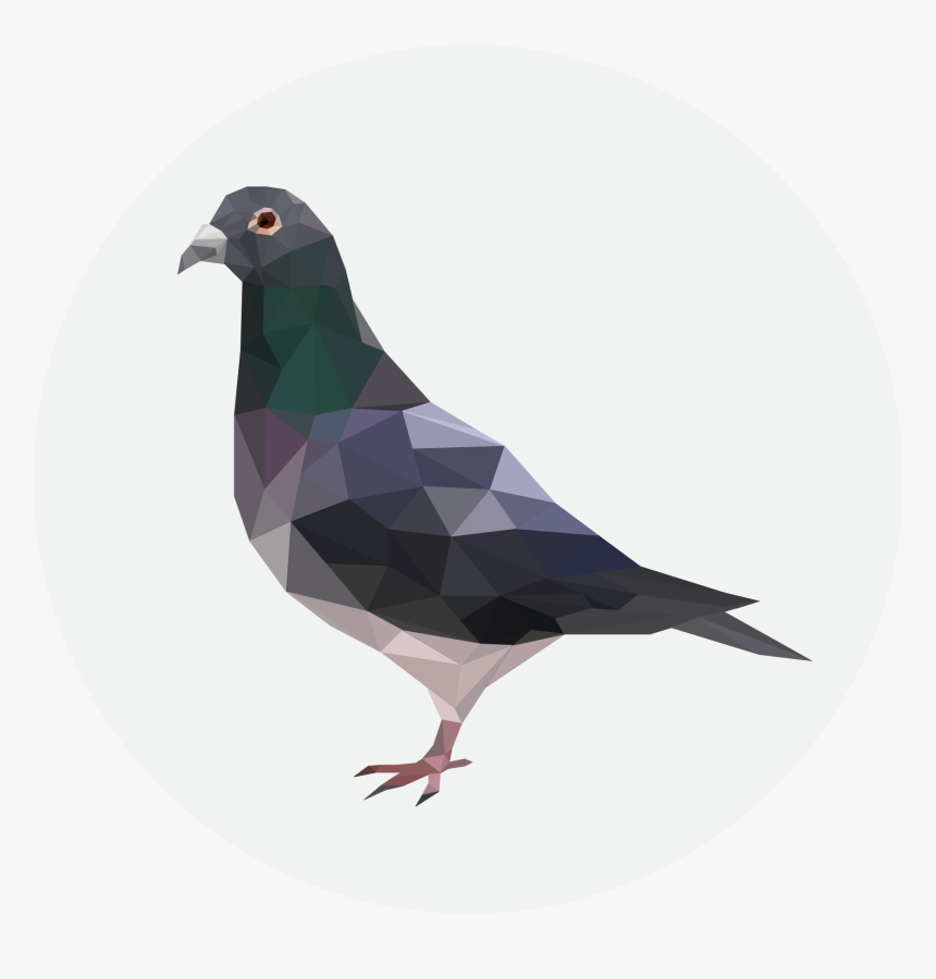 Critical Role Metagaming Pigeon , Png Download - Cool Background Pigeon, Transparent Png