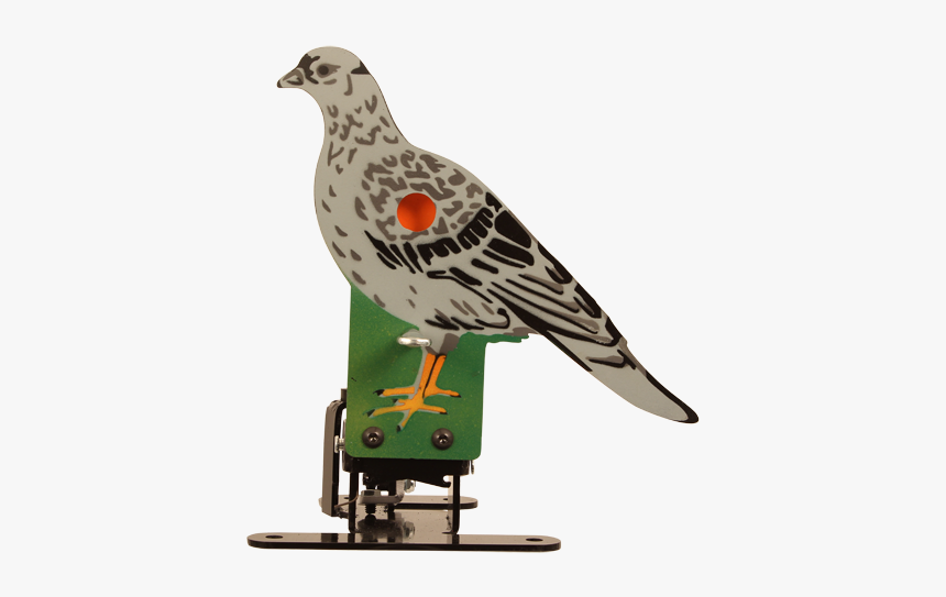 Pigeons And Doves, HD Png Download