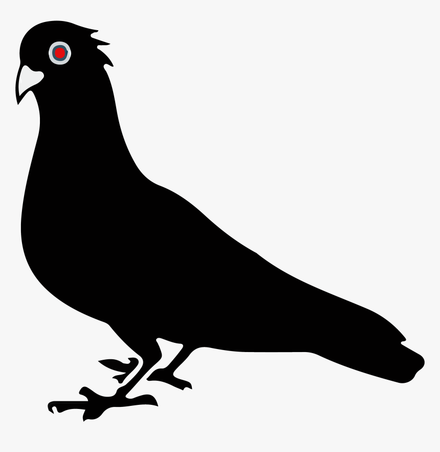 Black Pigeon, HD Png Download