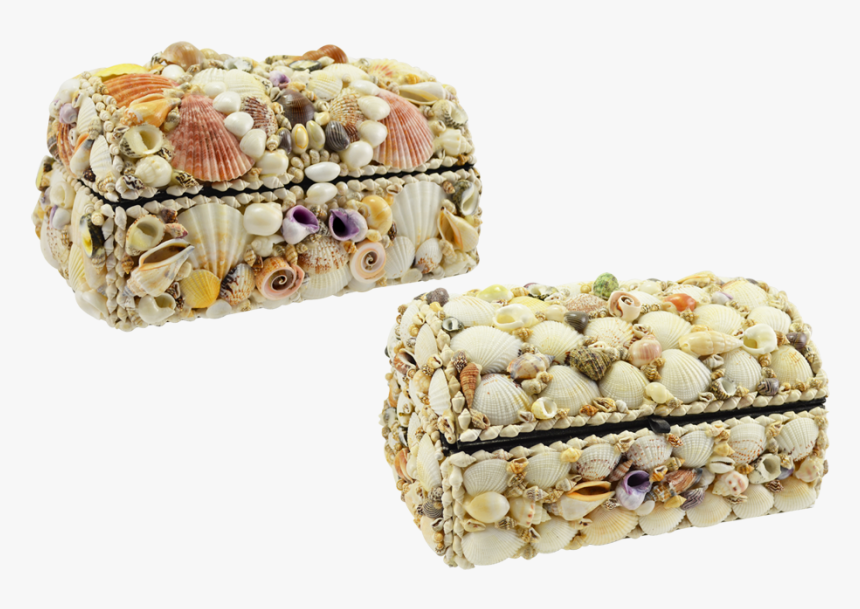 Treasure Box-natural Shells - Fruit Cake, HD Png Download