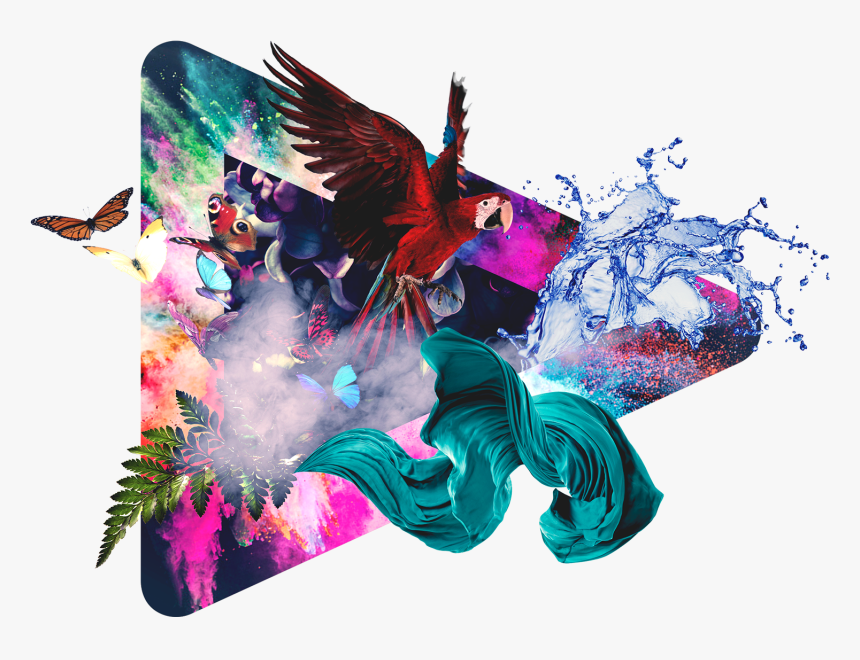 - Reflected In The Rain , Png Download - Grass Valley Edius Pro 9