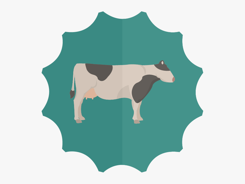 Cow Clipart Digestive System - Dairy Cow, HD Png Download