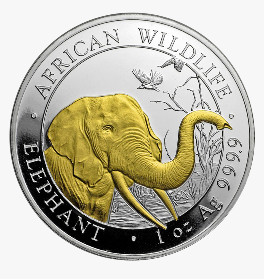 Coin, HD Png Download