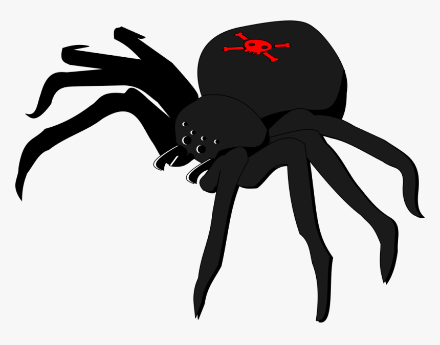 Skull And Crossbones Spider, HD Png Download