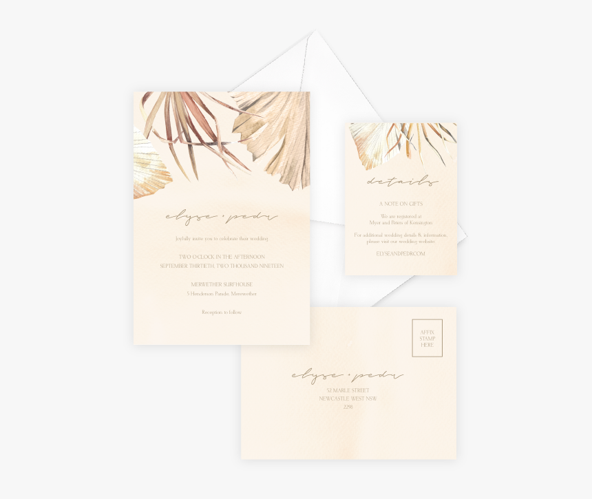 Sandy Palm, HD Png Download