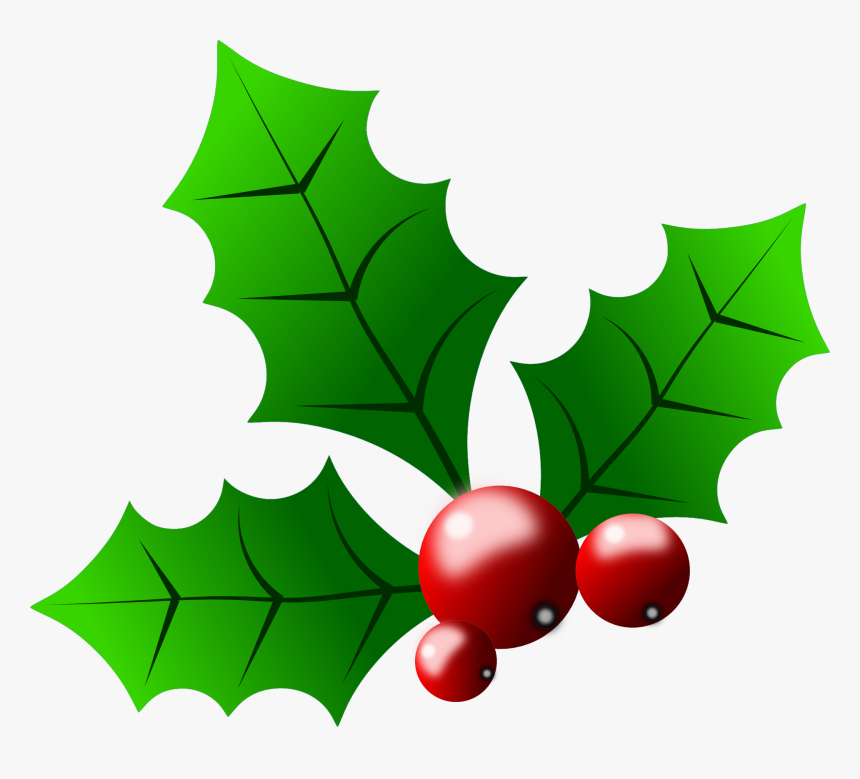 Transparent Holly Clipart, HD Png Download