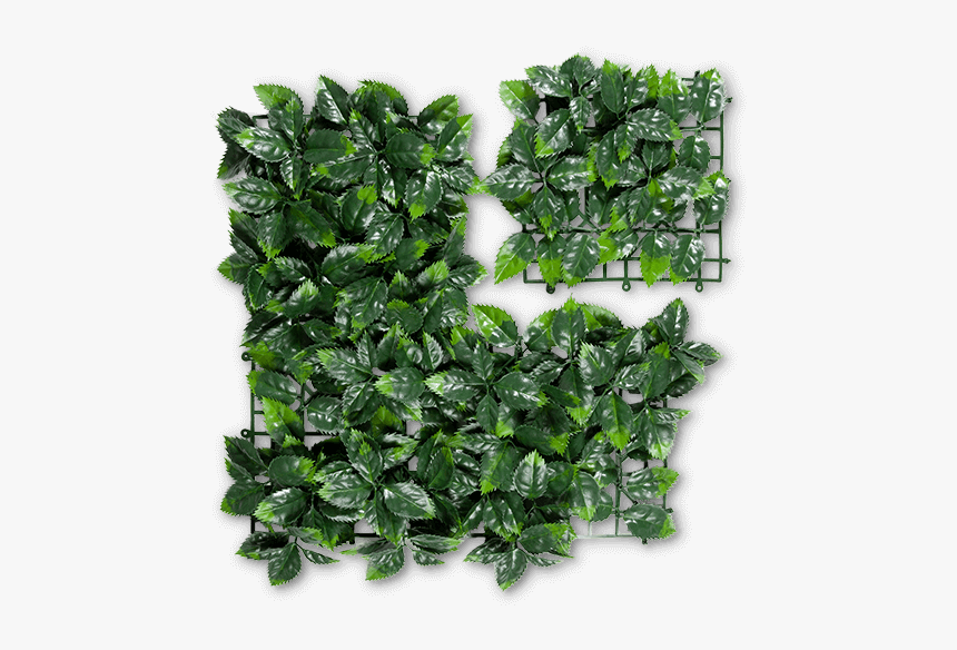 Laver, HD Png Download