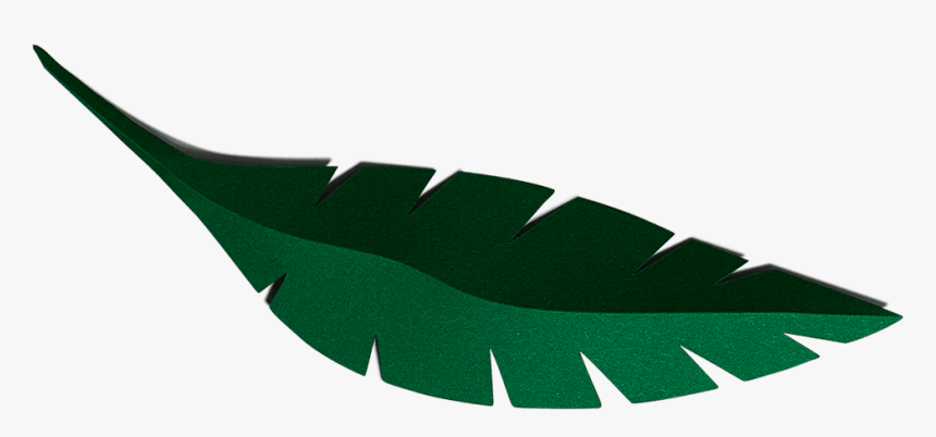 Tree, HD Png Download