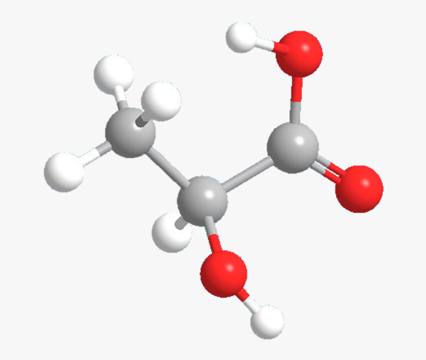 Runner Clipart Lactic Acid - L Lactic Acid 3d, HD Png Download