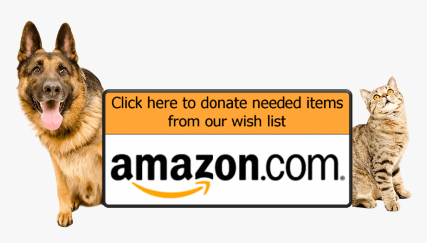 Amazon, HD Png Download
