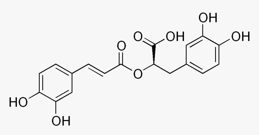 Rosmarinic Acid - Acido Rosmarinico, HD Png Download
