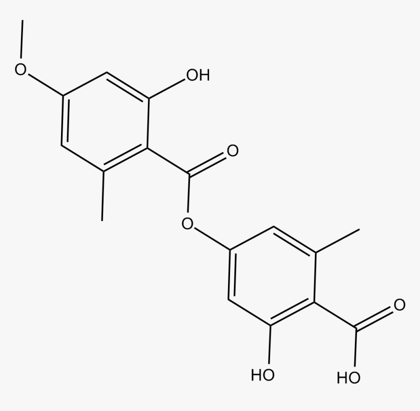 Diagram, HD Png Download