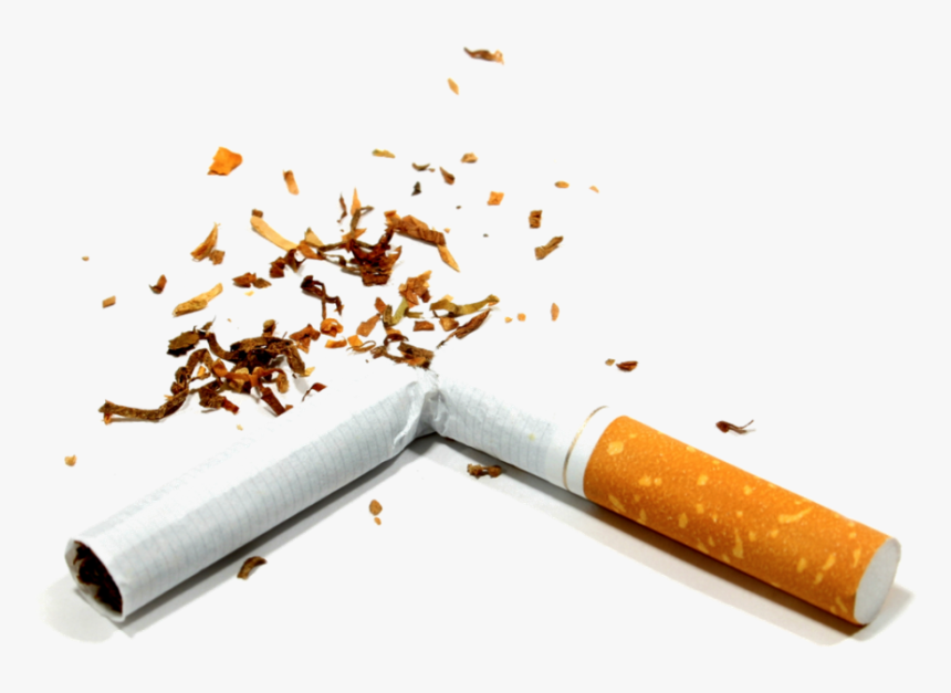 Broken Cigarette Png Image - Alcohol And Tobacco Preventions, Transparent Png