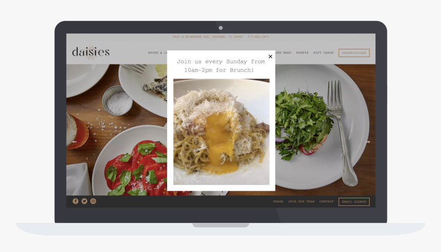 Daises - Namul, HD Png Download