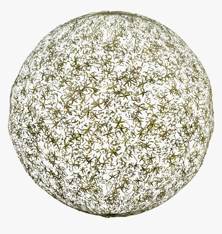 Żwirek 0 3 Do Akwarium, HD Png Download