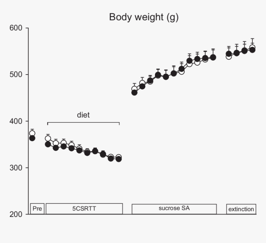 Plot, HD Png Download