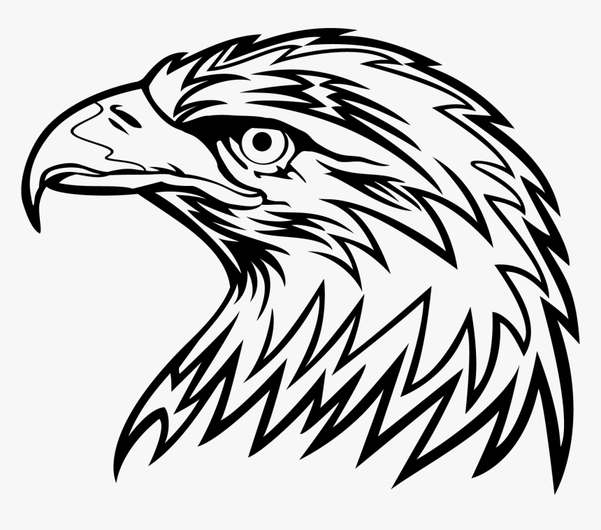 Cabeza De Águila - Cool Black And White Clipart, HD Png Download